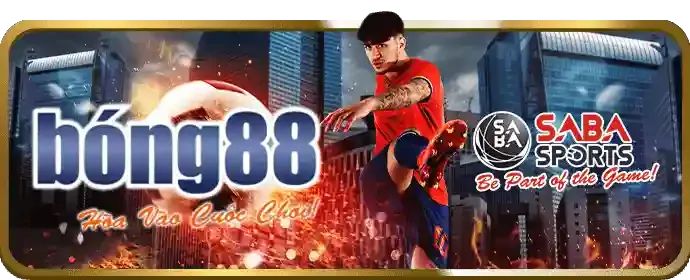 Kèo BDD trong đá gà trực tuyến pp88